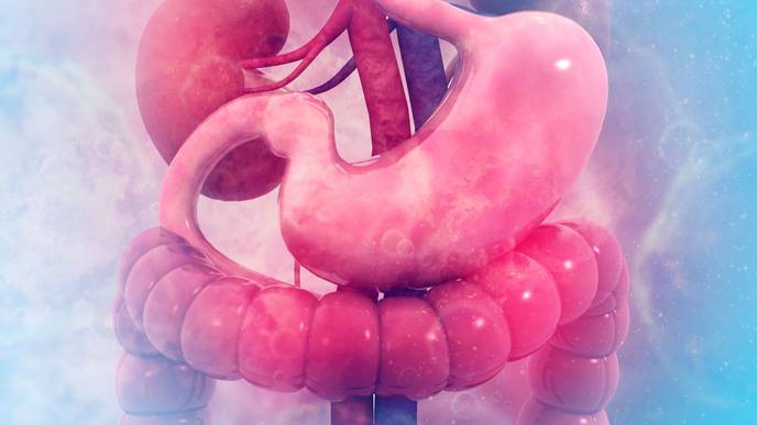 ReachMD Healthcare Image
