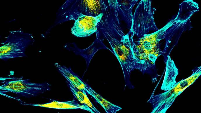 ReachMD Healthcare Image