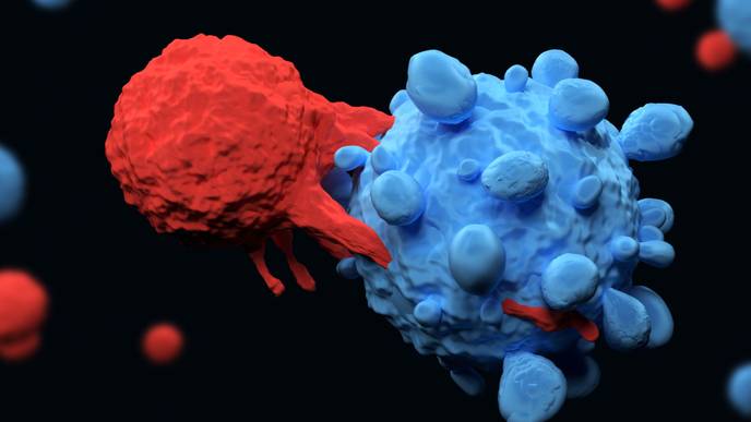 ReachMD Healthcare Image