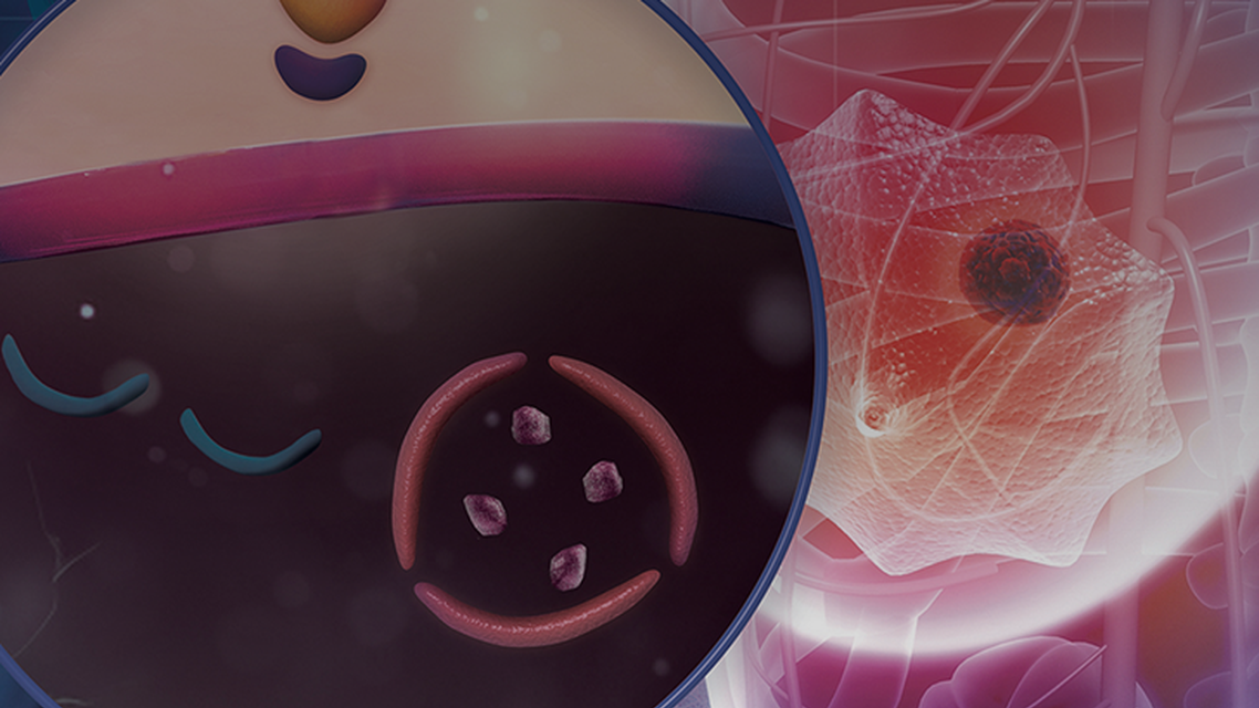ReachMD Healthcare Image