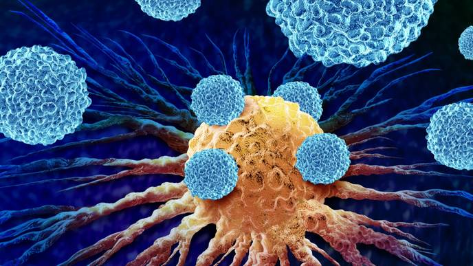 ReachMD Healthcare Image