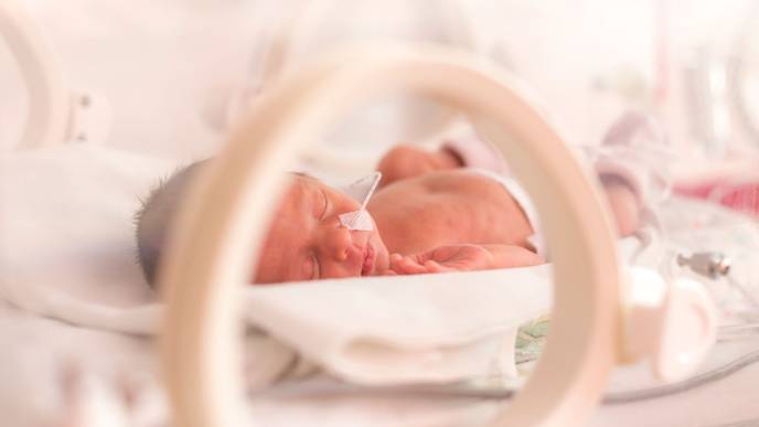 ReachMD Healthcare Image