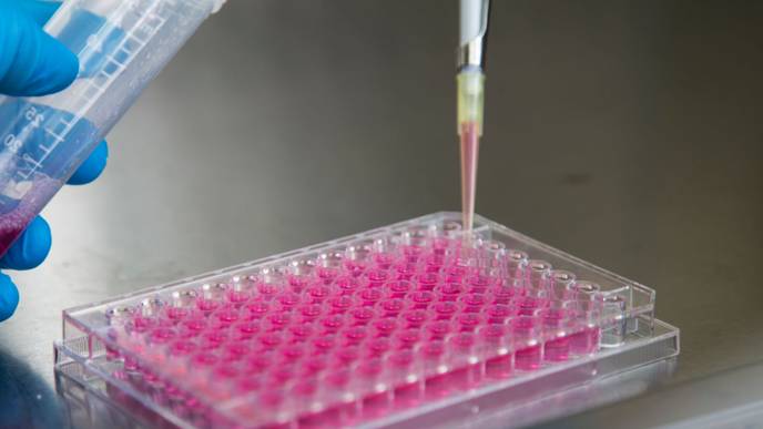 ReachMD Healthcare Image