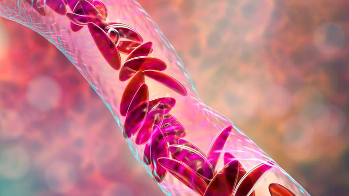 ReachMD Healthcare Image