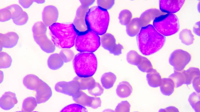 ReachMD Healthcare Image