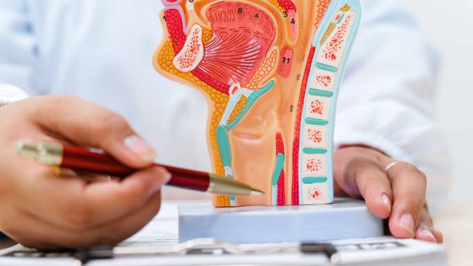 ReachMD Healthcare Image