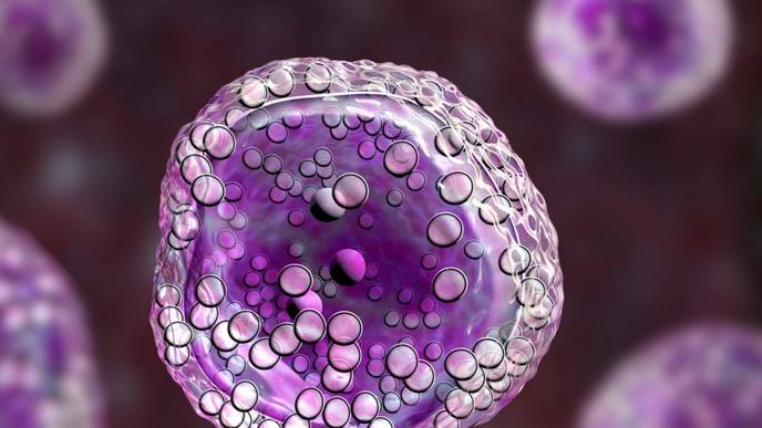 ReachMD Healthcare Image