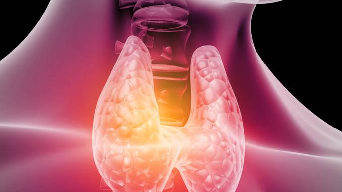 ReachMD Healthcare Image