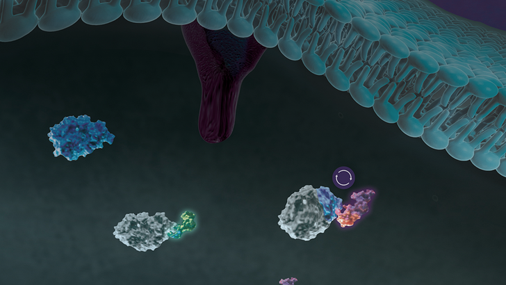 ReachMD Healthcare Image