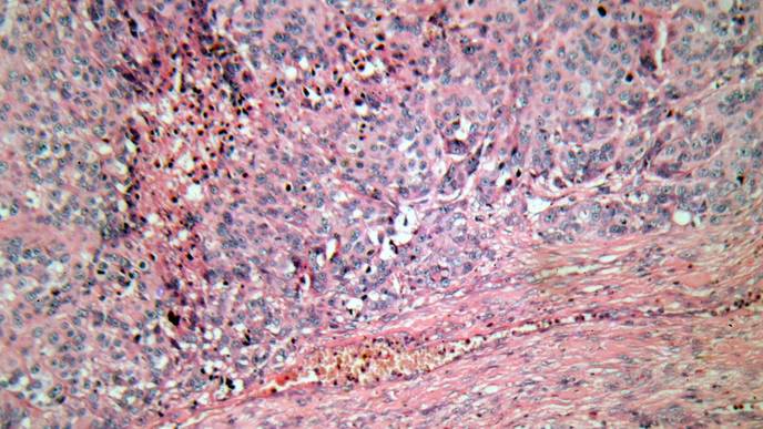 ReachMD Healthcare Image