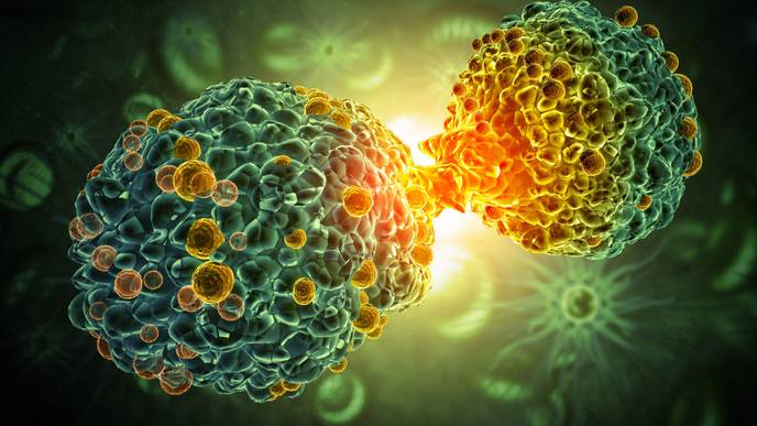 ReachMD Healthcare Image