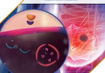 Improving Outcomes and Addressing Racial Disparities in Patients With HR+/ HER2- Early Breast Cancer: A Case-Based Learning Lab