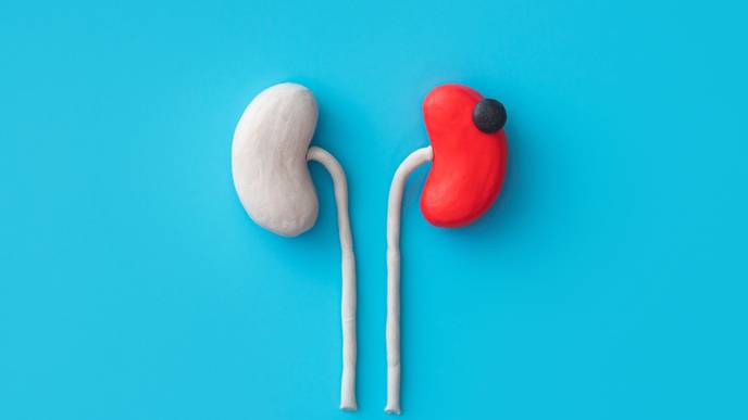 ReachMD Healthcare Image