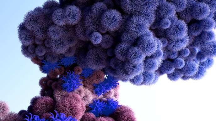 ReachMD Healthcare Image