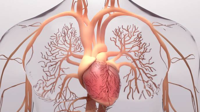 ReachMD Healthcare Image