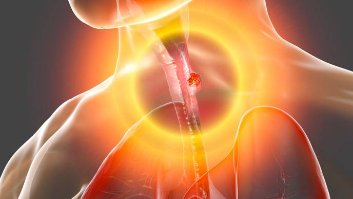 ReachMD Healthcare Image