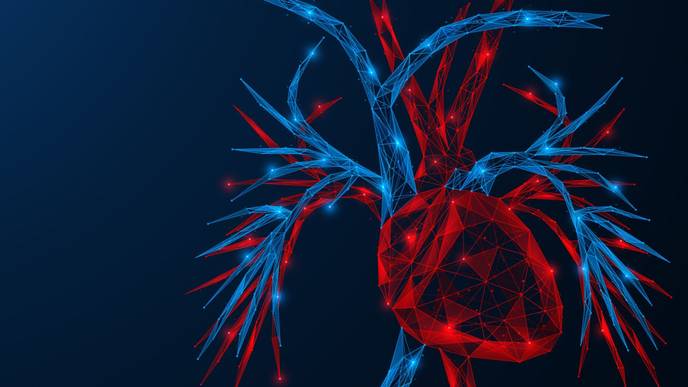 ReachMD Healthcare Image