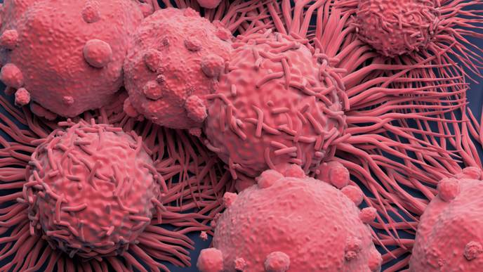 ReachMD Healthcare Image