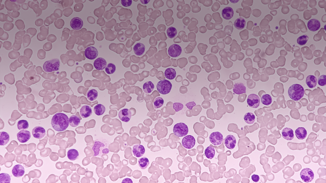 ReachMD Healthcare Image