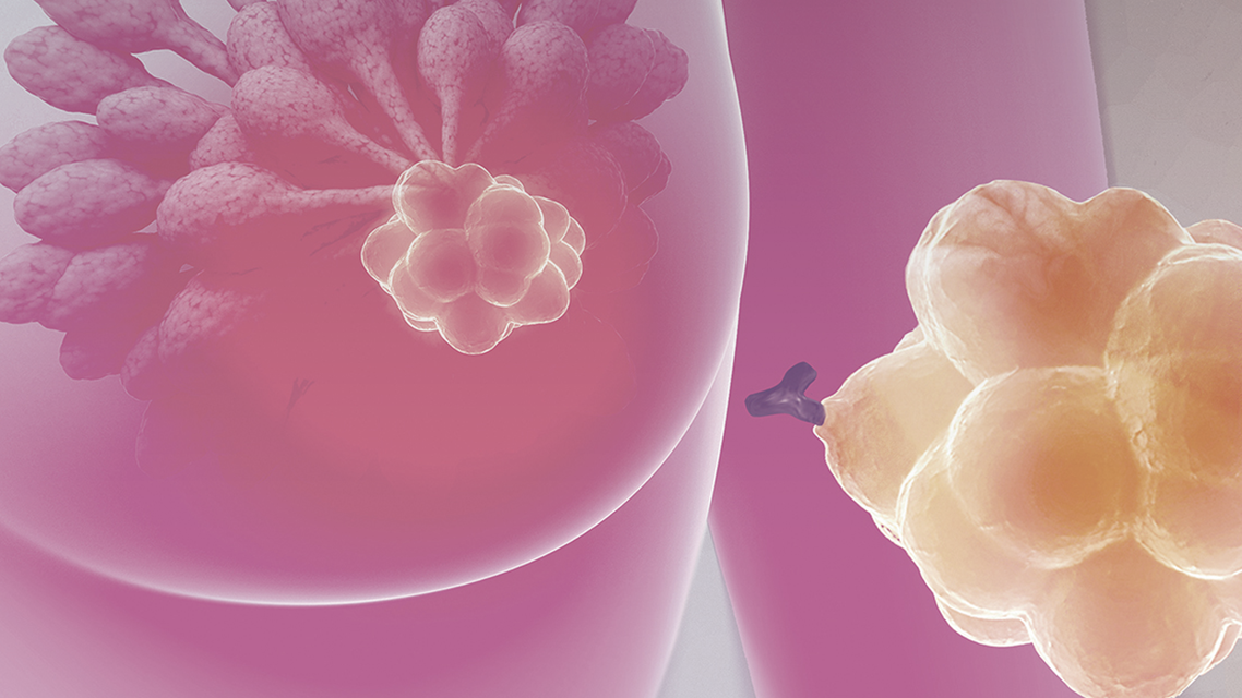 ReachMD Healthcare Image