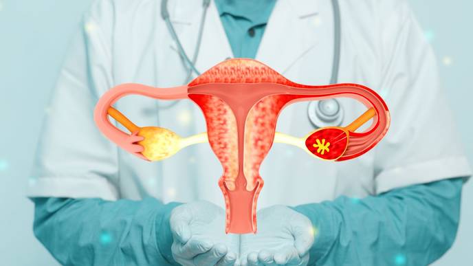 ReachMD Healthcare Image