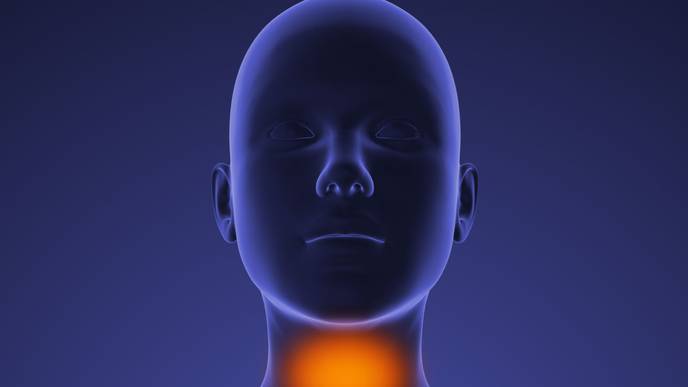 ReachMD Healthcare Image