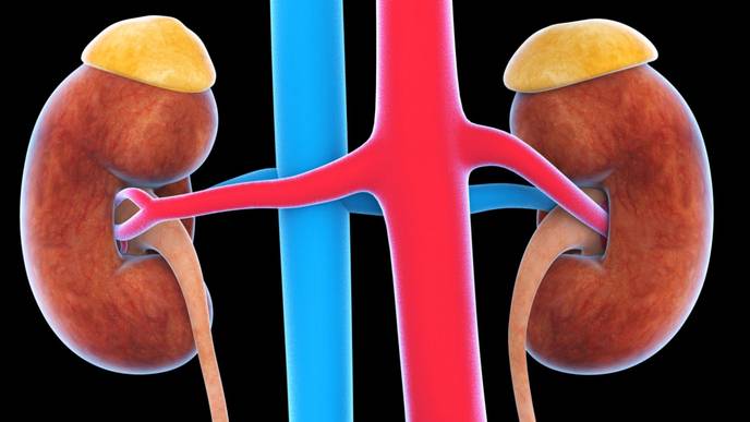 ReachMD Healthcare Image