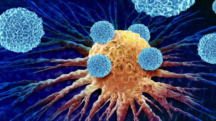 ReachMD Healthcare Image