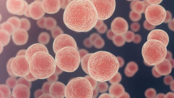 ReachMD Healthcare Image