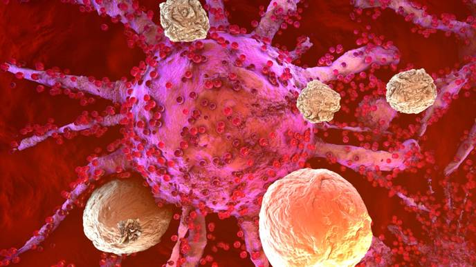 ReachMD Healthcare Image