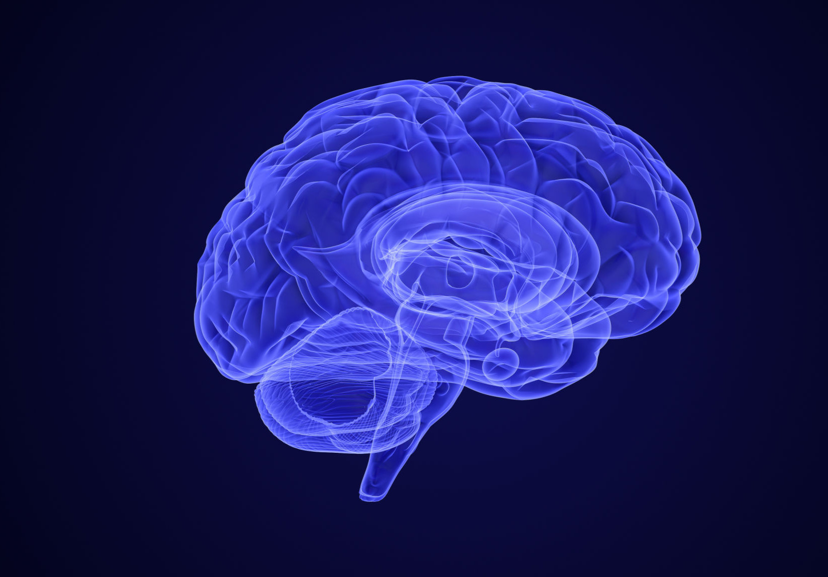 New brain mapping tool enhances understanding of neuronal connections