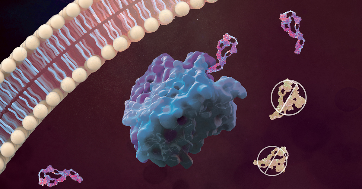 The Emerging Landscape Of BTK Inhibitors For Relapsed/Refractory CLL ...